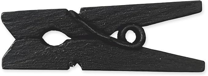 LWR CRAFTS Wooden Mini Clothespins 100 Per Pack 1" 2.5cm by LWR+CRAFTS