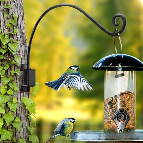 Qiang Ni Plant Hanger Outdoor: 22 Inch Bird Feeder Bracket - Image 5
