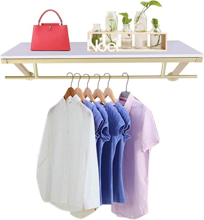 Clothes Rack with Top Shelf, Space-Saving Display Hanging Clothes Rack by BILPIKOGoo
