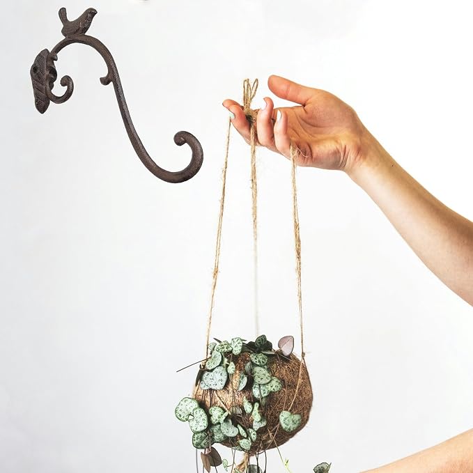 Z metnal Cast Iron Plant Hanger - Image 5