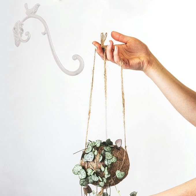 Z metnal Cast Iron Plant Hanger - Image 5