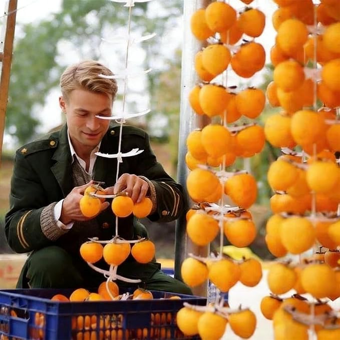 Fruit Hanging Drying Rack, Portable Persimmon Dryer - Image 7