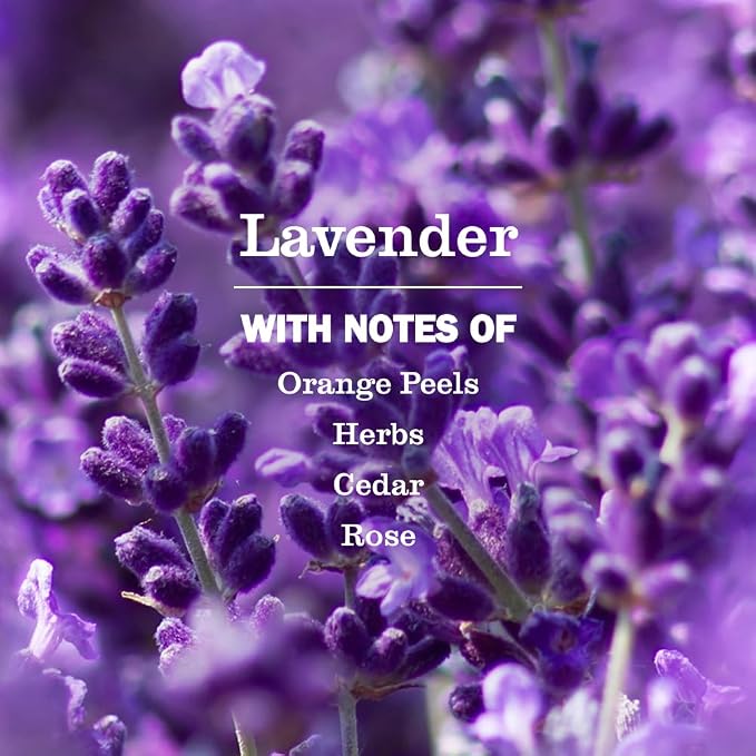 Mrs. Meyer's Clean Day Laundry Scent Boosters, Lavender Scent - Image 3