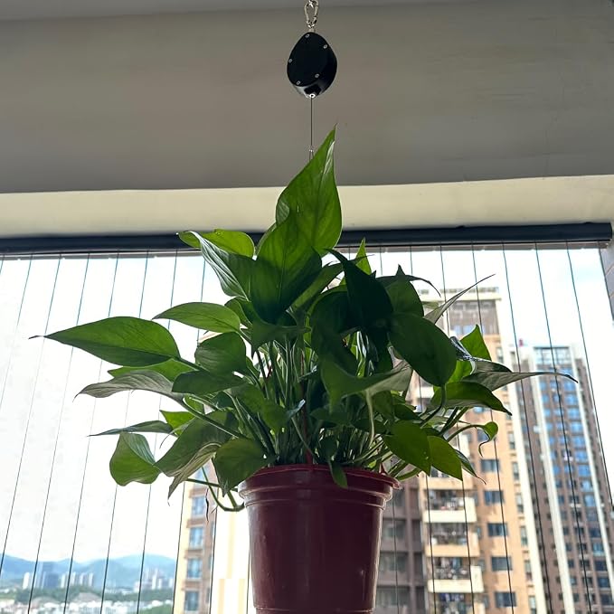 Retractable Plant Hanger - Image 8