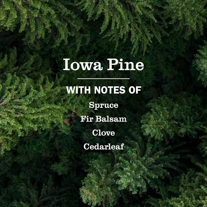 MRS. MEYER'S CLEAN DAY Room Spray, Iowa Pine Scent, 8 Fl Oz Bottle - Image 3