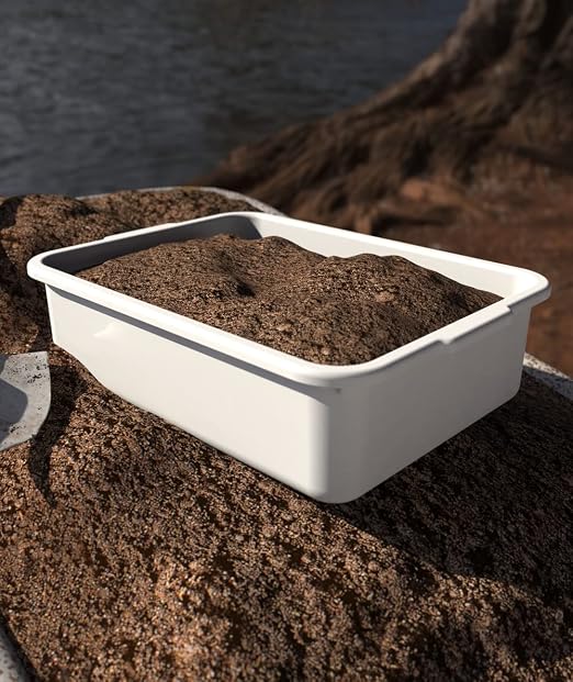 5-Pack Commercial Bus Tubs Box/Tote Box - Image 6
