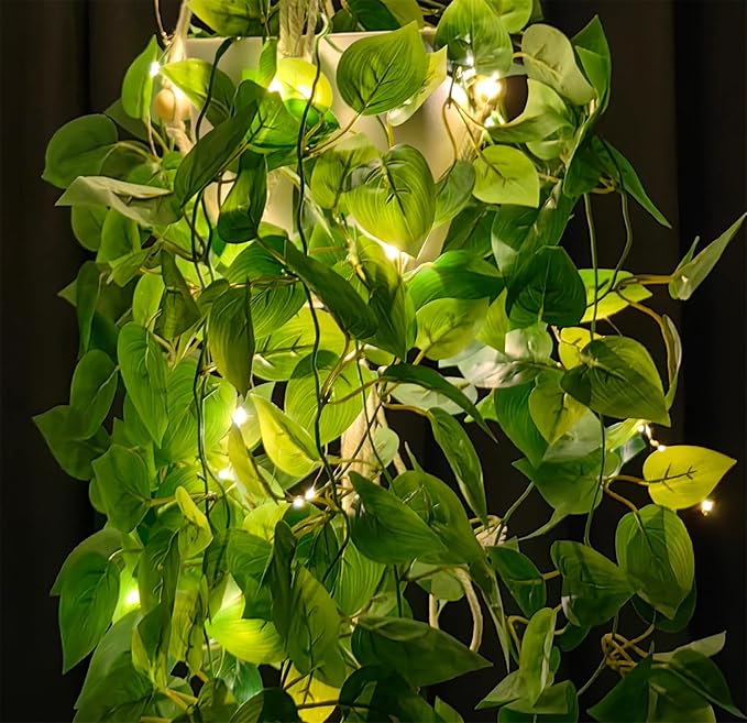 2 Pack Macrame Plant Hanger - Image 7