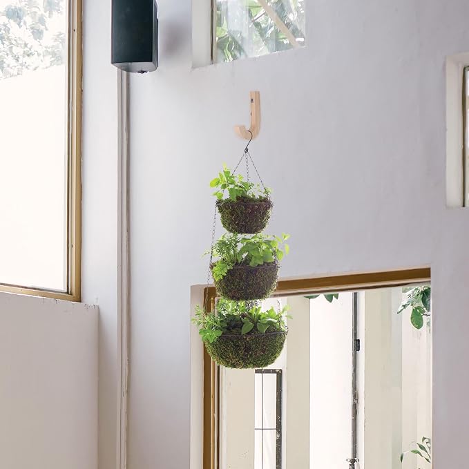 Wood Wall Mounted Plant Hanger Hook, Indoor Outdoor Hanging Plant Pot Holder - Image 5
