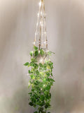 Comtelek Hanging Planter with Lights Indoor Macrame Plant Hanger Basket with by Comtelek