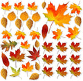 Autumn Leaves Sticker Pack Vinyl Fall Foliage Stickers by rabowa