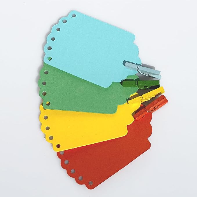 LWR CRAFTS Wooden Mini Clothespins 100 Per Pack 1" 2.5cm - Image 8