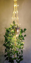 2 Pack Macrame Plant Hanger by Comtelek