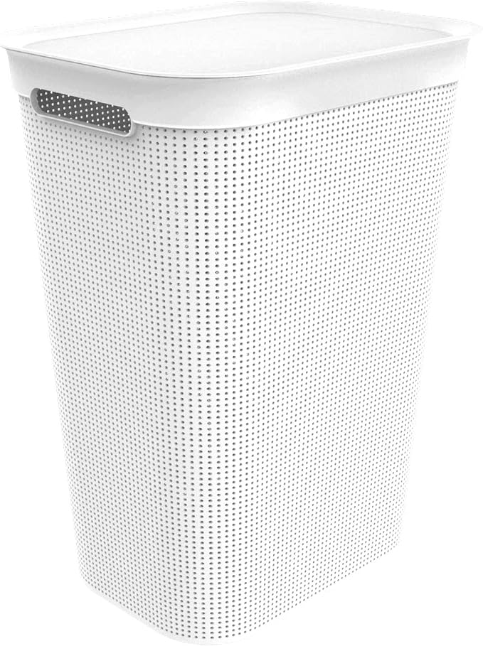 Rotho Brisen Laundry Basket by Rotho