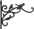 Comfy Hour 9" Bird Decorative Plant Wall Hanger, Heavy Duty Cast Iron Wall by ComfyHour