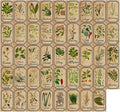 Herb and Spice Apothecary Labels Vintage Labels Stickers by Unknown