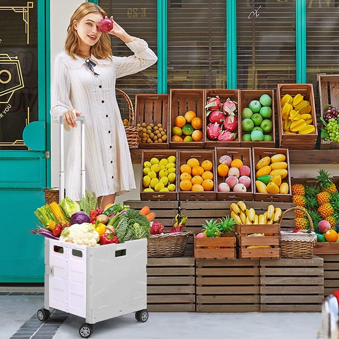 Foldable Shopping Utility Cart Portable Rolling Crate Handcart - Image 2