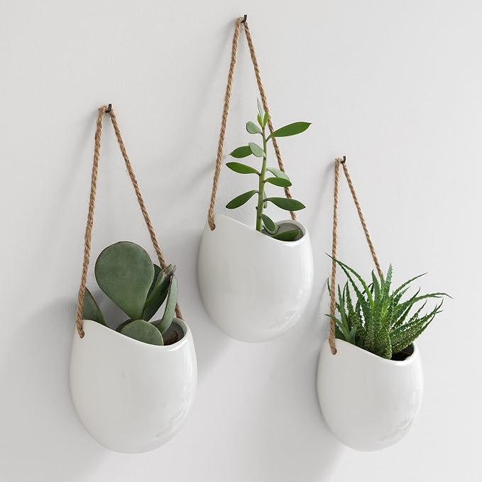 Kazai. Wall Planters -Ellie- | Hanging Ceramic Plant Pots 3 Pieces | Wall by KAZAI