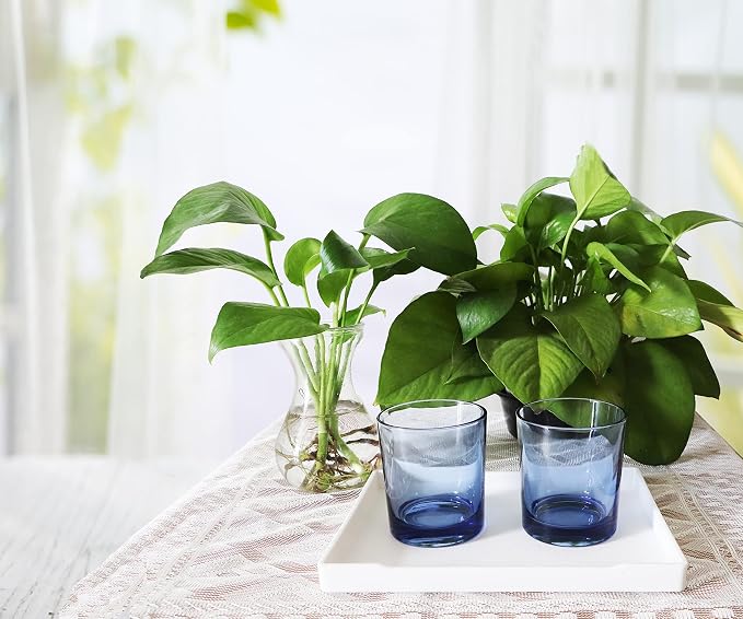 Small White Serving Tray for Serving Accessory, Perfume or Display Use. - Image 6