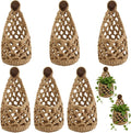 6 Pk Wall Planters for Indoor Macrame Plant Hanger Boho Wall Mounted Flower by Unknown