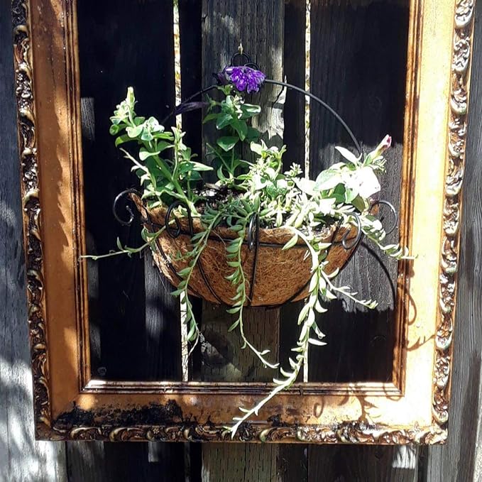 Orgrimmar 2 Pcs Iron Wall Hanging Planters Basket 9.8 Inches Half Round Plant - Image 4