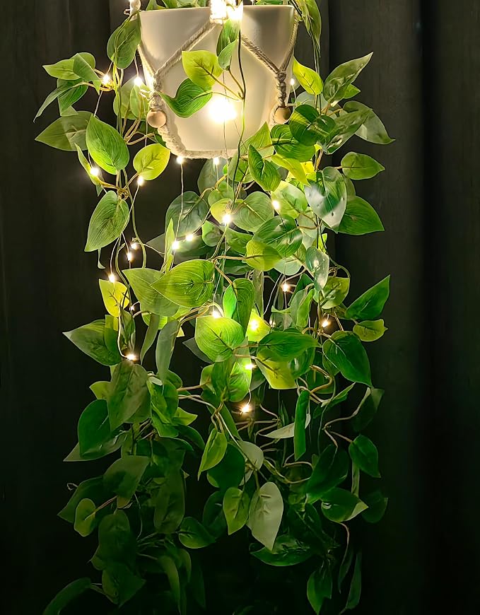 Comtelek Hanging Planter with Lights Indoor Macrame Plant Hanger Basket with - Image 9