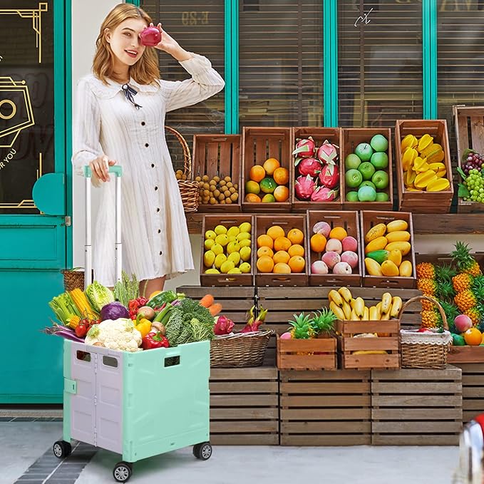 Foldable Shopping Utility Cart Portable Rolling Crate Handcart - Image 2