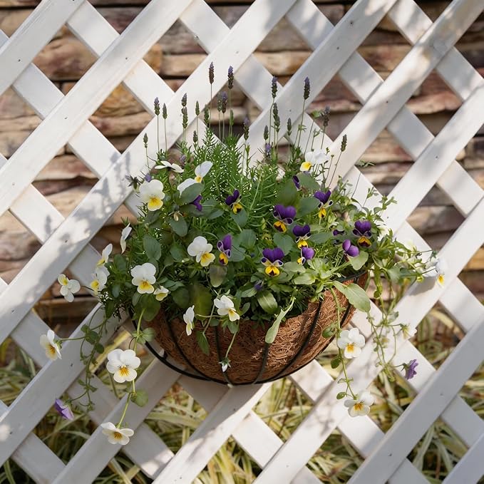 LX7 3-Pack Hanging & Wall-Mounted Plant Baskets - Image 6