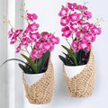 2 Pack 4 inch Hanging Orchid Basket, Hanging Orchid Planter | Macrame Wall by Shineloha