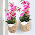 2 Pack 6 inch Hanging Orchid Basket, Hanging Orchid Planter | Macrame Wall by Shineloha