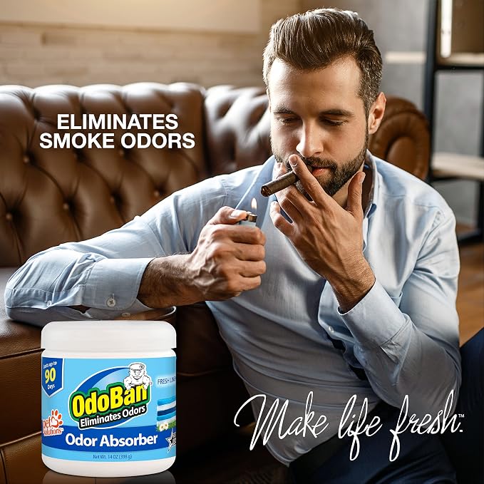 OdoBan Multipurpose Cleaner Disinfectant and Harsh Smell Eliminator Fabric/Air - Image 8