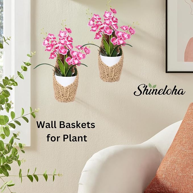2 Pack 4 inch Hanging Orchid Basket, Hanging Orchid Planter | Macrame Wall - Image 4
